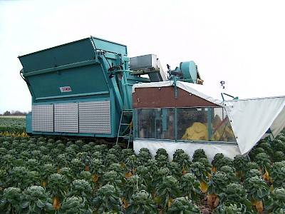 Self-propelled sprout harvester 4ROW on field side view