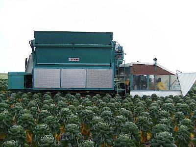 Self-propelled sprout harvester 4ROW on field side view